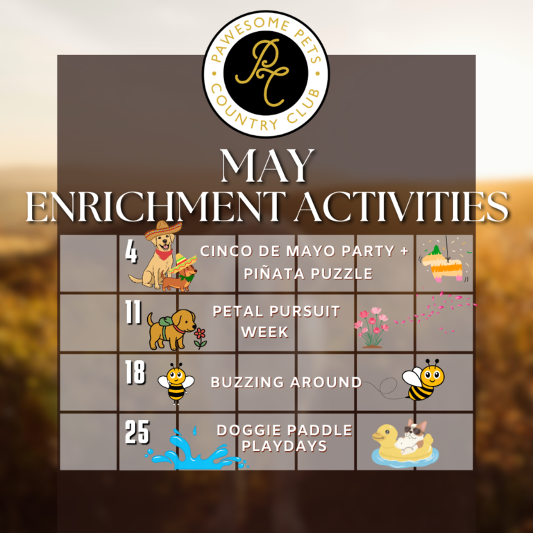 calendar of May with weekly activities listed on it.