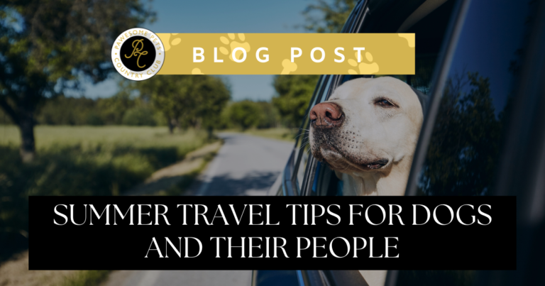 yellow lab is riding in a car and is looking out an open window. Text overlay include title for blog and business logo