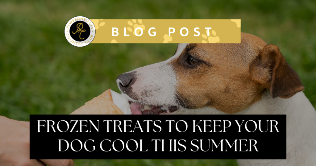Dog licking an icecream cone. Text overlay says "Blog Post" and "Frozen Treats to Keep Your Dog Cool This Summer".